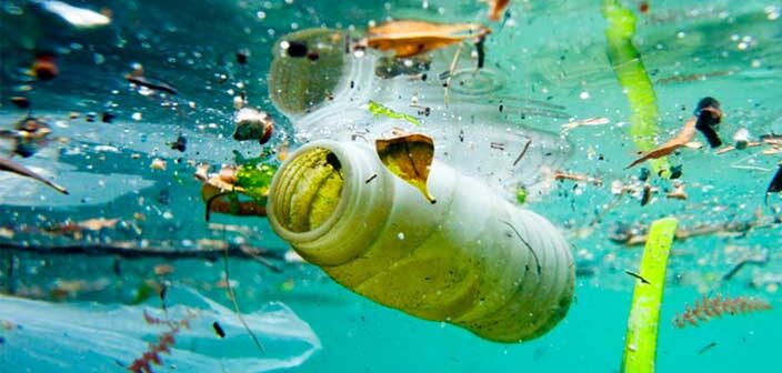 giải quyết tranh chấp về môi trường