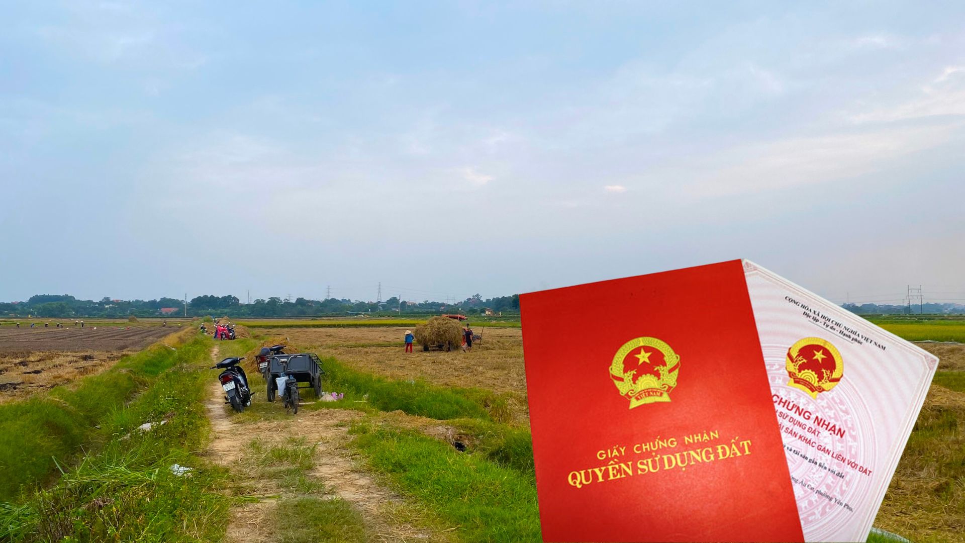 Sang tên sổ đỏ sau sáp nhập: Khi nào phải đính chính sổ? 3 Sang tên sổ đỏ sau sáp nhập: Khi nào phải đính chính sổ?